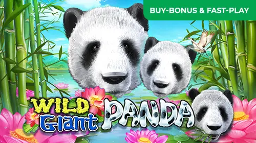 Wild Giant Panda - Spin City - Congo